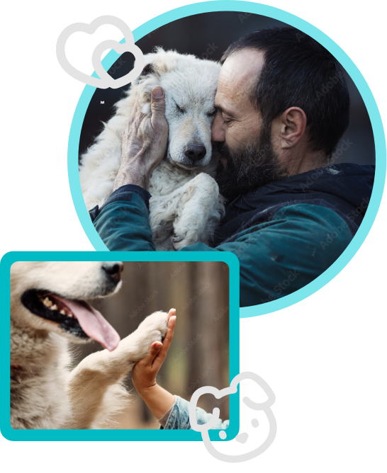 la mediation par animal