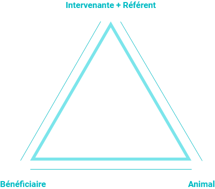 triangulation