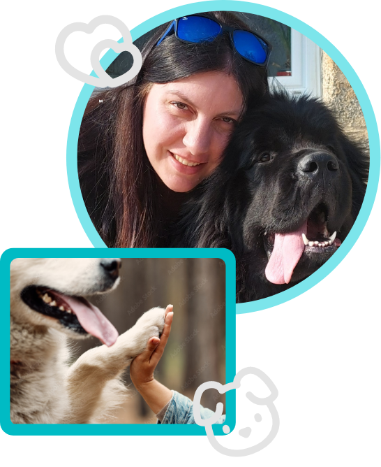 développement via la médiation par l'animal